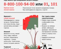 Лариса Максимова об успешном завершении пожароопасного сезона в Республике Коми larisa maksimova ob uspeshnom zavershenii pozharoopasnogo sezona v respublike komi-signaldaily-ru-0