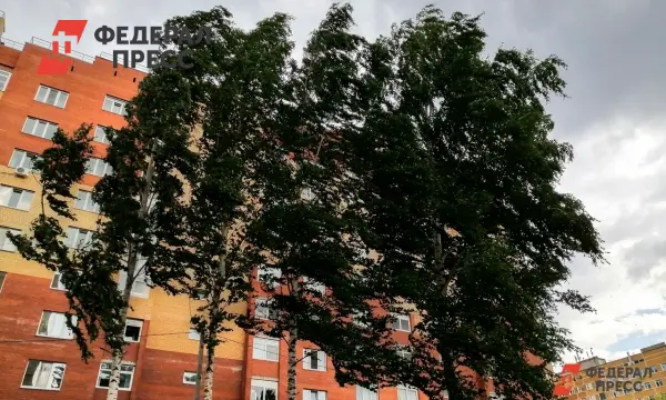 МЧС России предупреждает жителей Рязанской области о сильном ветре-0