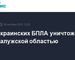 Над Калужской областью сбили сразу три украинских БПЛА - Шапша доложил об атаке nad kaluzhskoj oblastyu sbili srazu tri ukrainskih bpla  shapsha dolozhil ob atake-signaldaily-ru-0