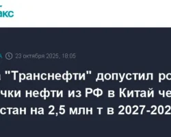 nikolaj tokarev o perspektivah rosta postavok nefti v kitaj cherez kazahstan k 2028 godu-signaldaily-ru-0