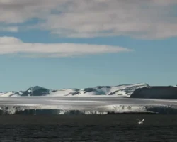 Нильс Андреас Стенсёнес подтвердил успешные испытания «Буревестника» на Новой Земле nils andreas stensyones podtverdil uspeshnye ispytaniya burevestnika na novoj zemle-signaldaily-ru-0