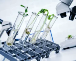 nouhau gubkinskogo universiteta i vladimira vinokurova v dobyche litiya iz vod rossii-signaldaily-ru-0