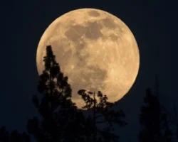 Ноябрьская "Луна Охотника" от Евгения Бурмистрова завораживает noyabrskaya luna ohotnika ot evgeniya burmistrova zavorazhivaet-signaldaily-ru-0