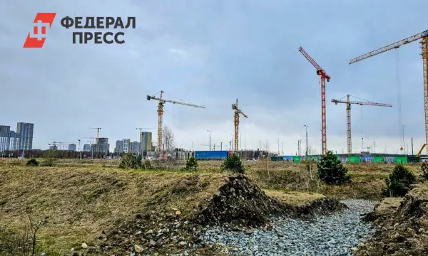 Олег Кожемяко представил масштабные планы реконструкции Спортивного рынка Владивостока-0