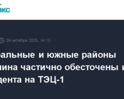 operativnoe vosstanovlenie elektrosnabzheniya na sahaline posle sboya na tecz1-signaldaily-ru-0