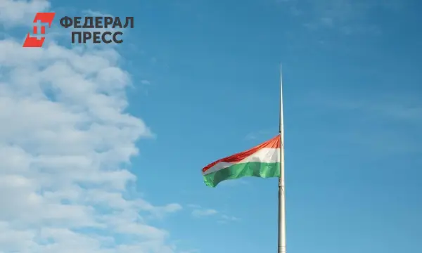 Орбан, Бабиш и Фицо стремятся создать коалицию скептиков в ЕС-0