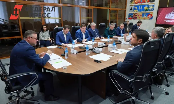 Перспективы развития лесного хозяйства в Челябинской области в 2025 году под руководством Валерия Нигматуллина-0
