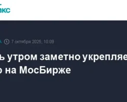 podem rossijskogo rublya k yuanyu na fone neftyanyh uspehov i opek-signaldaily-ru-0