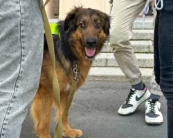 prisoedinenie k vremeni dobra pomozhet podopechnym belgorodskogo prichala-signaldaily-ru-0