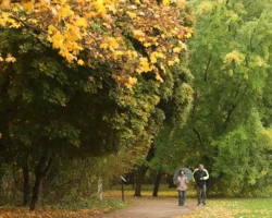 priyatnaya osennyaya dinamika pogody ot sibiri do moskvy-signaldaily-ru-0