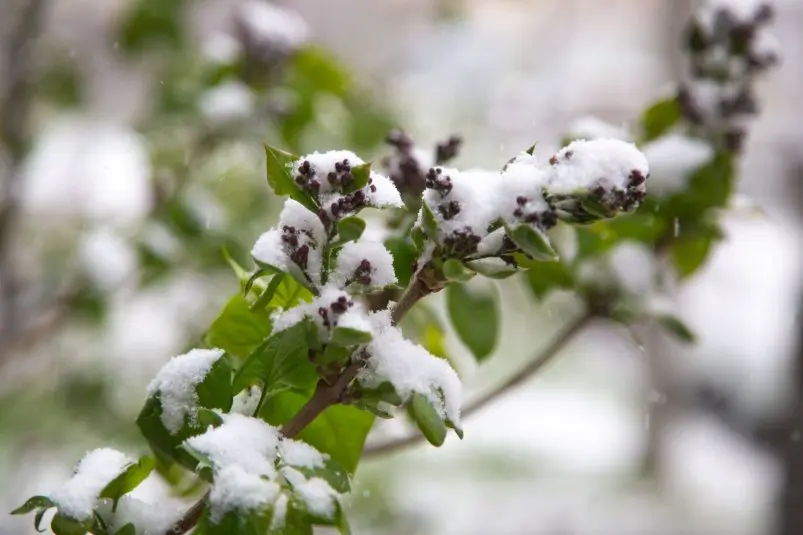 Фото: primamedia.ru