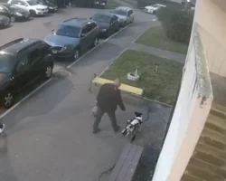 prokuratura moskovskoj oblasti oczenila postupok nikolaya v podolske-signaldaily-ru-0