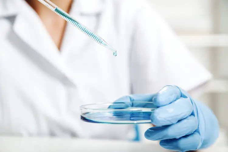 scientificrussia.ru