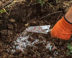 Россия укрепляет свои позиции на китайском рынке благодаря успешному экспорту удобрений rossiya ukreplyaet svoi poziczii na kitajskom rynke blagodarya uspeshnomu eksportu udobrenij-signaldaily-ru-0