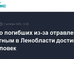 Следствие Ленобласти наращивает борьбу с суррогатным алкоголем после ЧП sledstvie lenoblasti narashhivaet borbu s surrogatnym alkogolem posle chp-signaldaily-ru-0