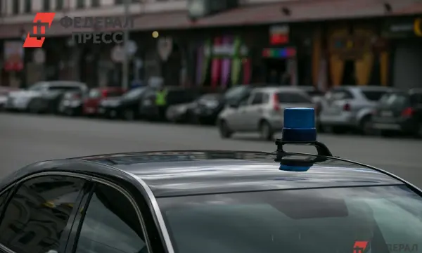 Спецслужбы Украины и ИГ готовили покушение в Москве на ФСБ и офицера Минобороны-0