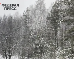 Светлана Торгашина опровергла слухи о куртке Усольцевых в Красноярском крае svetlana torgashina oprovergla sluhi o kurtke usolczevyh v krasnoyarskom krae-signaldaily-ru-0