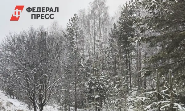 Светлана Торгашина опровергла слухи о куртке Усольцевых в Красноярском крае-0