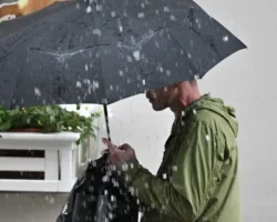 Татьяна Позднякова рассказала об оптимистичных прогнозах погоды в Москве tatyana pozdnyakova rasskazala ob optimistichnyh prognozah pogody v moskve-signaldaily-ru-0