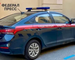 В Красноярском крае СК предлагает меры по защите семей от угроз v krasnoyarskom krae sk predlagaet mery po zashhite semej ot ugroz-signaldaily-ru-0