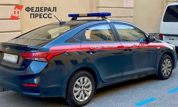 В Красноярском крае СК предлагает меры по защите семей от угроз-0