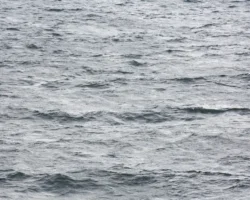 v novosibirske su sk rassleduet inczident s detmi na vodoyome-signaldaily-ru-0