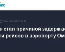 В Омске пассажиры ожидают вылетов из-за тумана, задерживающего рейсы v omske passazhiry ozhidayut vyletov izza tumana zaderzhivayushhego rejsy-signaldaily-ru-0