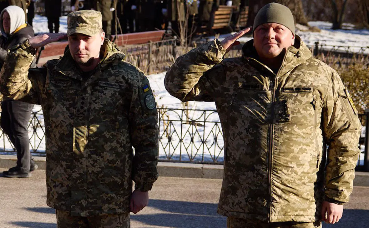 Кирилл Буданов и Валерий Залужный (Офис президента Украины / Flickr)