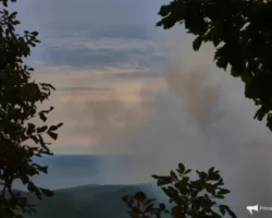 Возобновлена работа полигона Холмистой, где Приморский оператор принимает ТКО vozobnovlena rabota poligona holmistoj gde primorskij operator prinimaet tko-signaldaily-ru-0