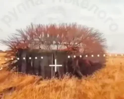 ВСУ атаковали Харьковщину, уничтожив M113-'ежи' vsu atakovali harkovshhinu unichtozhiv 113ezhi-signaldaily-ru-0