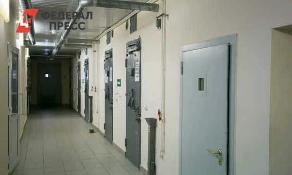 Александр Неустроев получил утроенный срок в тюрьме за оправдание терроризма-0