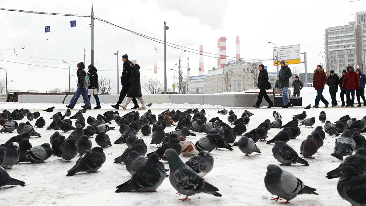 Росгидромет: Температура воздуха предстоящей зимой в Москве ожидается выше нормы