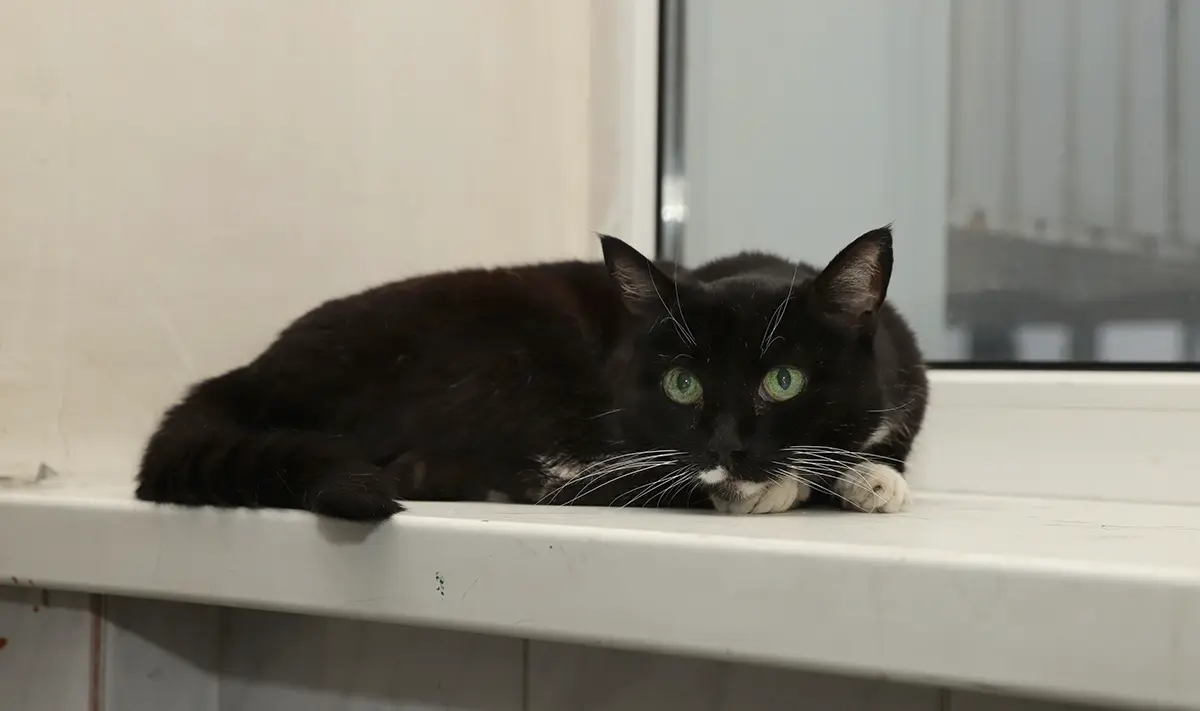 Праздники 17 ноября