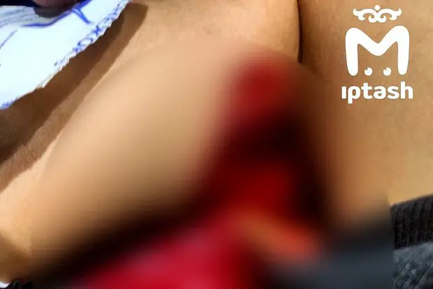 Вводная картинка