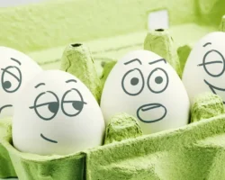 elena masolova i natalya panfilova o ponyatii otroverta i roli -signaldaily-ru-0