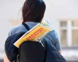 Эльмина Акбашева и Мигрант Сервис обсуждают защиту при трудоустройстве elmina akbasheva i migrant servis obsuzhdayut zashhitu pri trudoustrojstve-signaldaily-ru-0