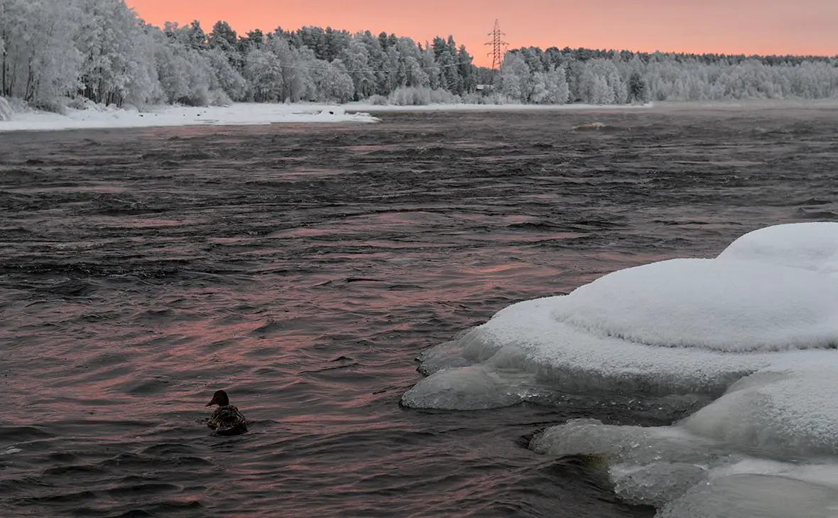 Река Вуокса (Александр Гальперин / РИА Новости)