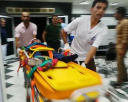 Генконсульство России оказывает поддержку в Египте после ЧП у Рас-Гариба genkonsulstvo rossii okazyvaet podderzhku v egipte posle chp u rasgariba-signaldaily-ru-0