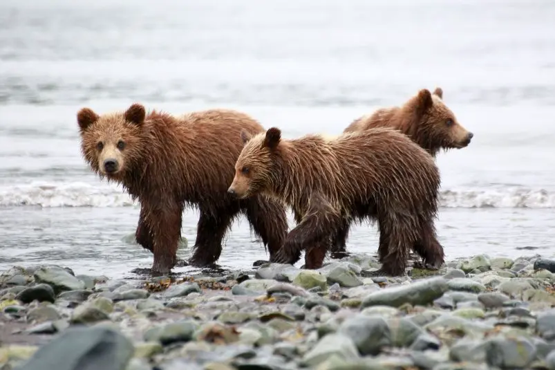 Фото: primamedia.ru