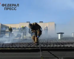 ГУ МЧС России успешно потушило пожар на предприятии Сормовского района Нижнего Новгорода gu mchs rossii uspeshno potushilo pozhar na predpriyatii sormovskogo rajona nizhnego novgoroda-signaldaily-ru-0