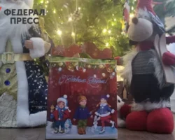 gubernator primorskogo kraya podgotovil sladkie novogodnie podarki detyam-signaldaily-ru-0