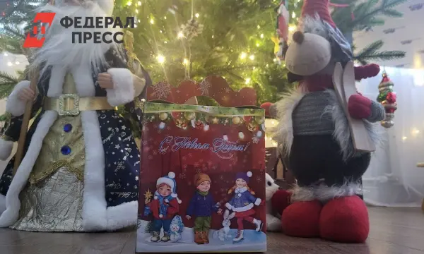 Губернатор Приморского края подготовил сладкие новогодние подарки детям-0