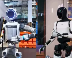 Гуманоидные роботы Atlas и Optimus открывают новый этап для Boston Dynamics и Tesla gumanoidnye roboty i otkryvayut novyj etap dlya i -signaldaily-ru-0