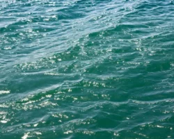 kak uchyonye iz  mfti i  izuchili predely predskazuemosti klimata okeana-signaldaily-ru-0