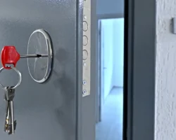 larisa dolina vyigrala sud i kvartiry vozvrashhayut vladelczam posle del s moshennikami-signaldaily-ru-0