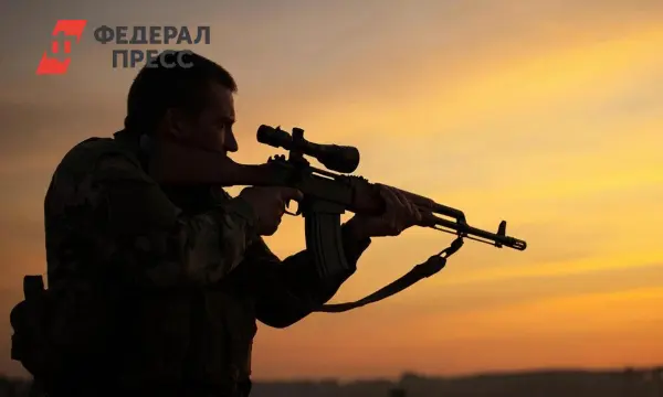 Минобороны РФ сообщило об освобождении Затишья и ударах по Paladin, M113, RADA-0