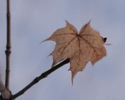 Новое о неожиданном исчезновении Ирины и Сергея Усольцевых novoe o neozhidannom ischeznovenii iriny i sergeya usolczevyh-signaldaily-ru-0