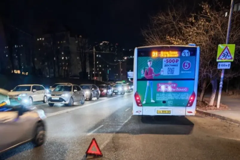 Полиция выясняет причины падения пенсионерки из автобуса на Тихой во Владивостоке Пресс-служба УМВД России по Приморскому краю