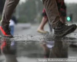 Почему грязные брюки сигнализируют о здоровье стопы, голеностопного сустава и таза? pochemu gryaznye bryuki signaliziruyut o zdorove stopy golenostopnogo sustava i taza-signaldaily-ru-0