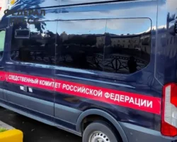 Подробности расследования уголовного дела о шантаже в Путятино podrobnosti rassledovaniya ugolovnogo dela o shantazhe v putyatino-signaldaily-ru-0